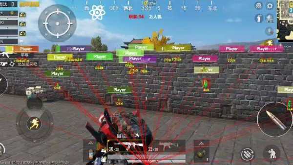 和平精英辅助【萝卜直装V1.0】人物透视 开镜开火自瞄 全枪无死角漏打 追踪扫车打鸟
