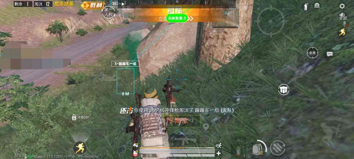 和平精英「路易威登」外挂